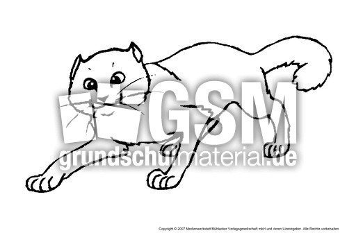 Katze-1.pdf